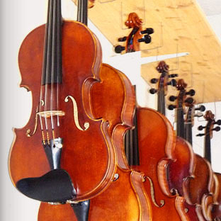 Geigen & Violinen zum Probespiel